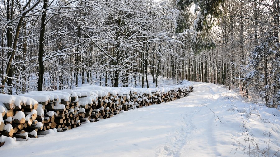 vinter i gråsten skov 1